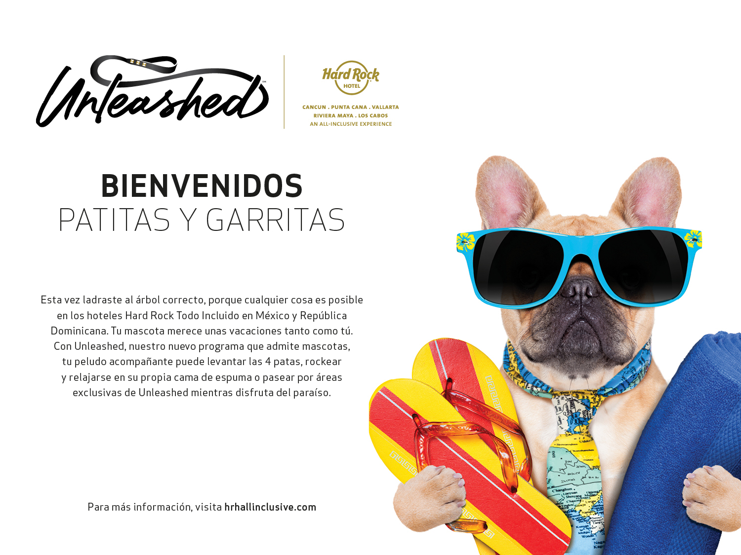 Experiencias petfriendly en el Caribe con los hoteles Hard Rock All